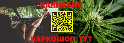 сатива Апшеронск