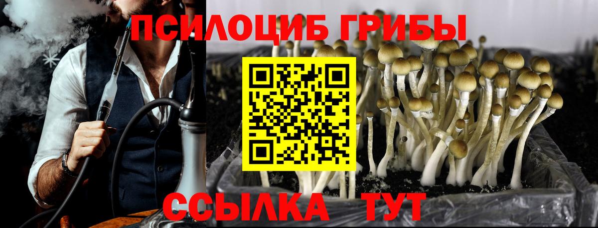 купить  цена  Вход с VPN  Белогорск  Псилоцибиновые грибы MAGIC MUSHROOMS 