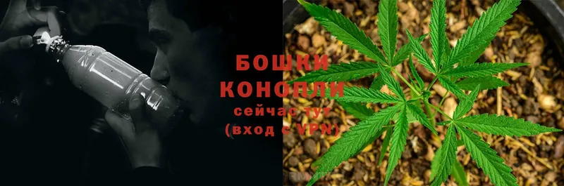 Шишки марихуана OG Kush  Белогорск 